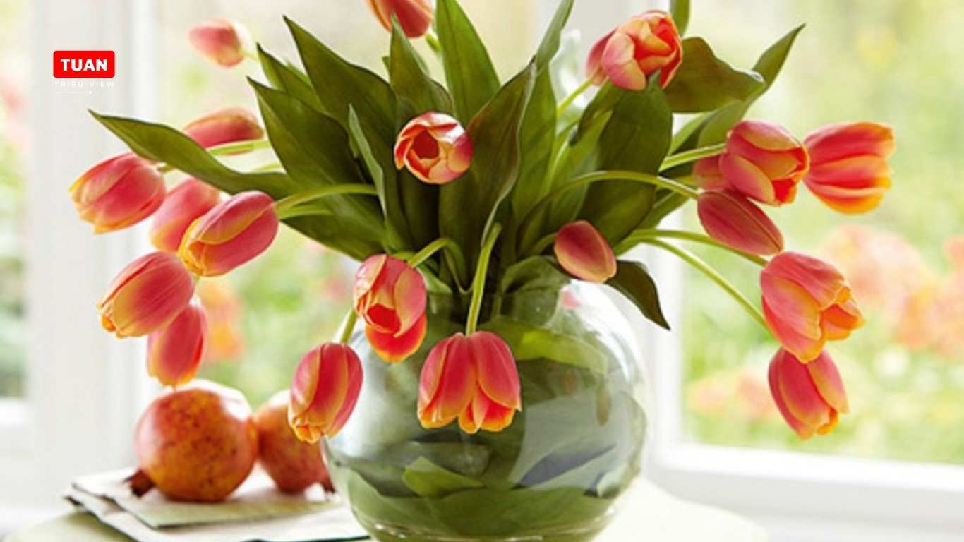 Chăm sóc hoa bỏ bình