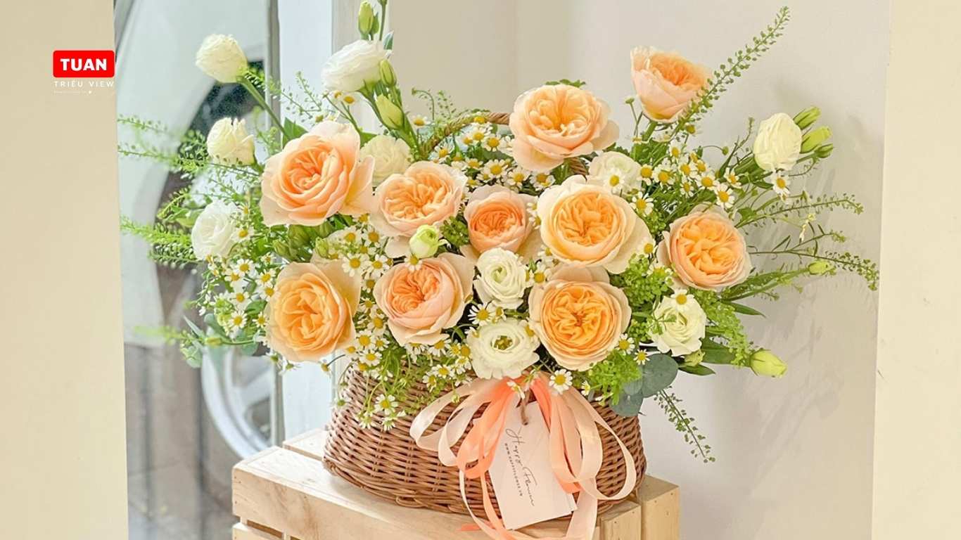 Chăm sóc hoa hộp, hoa giỏ