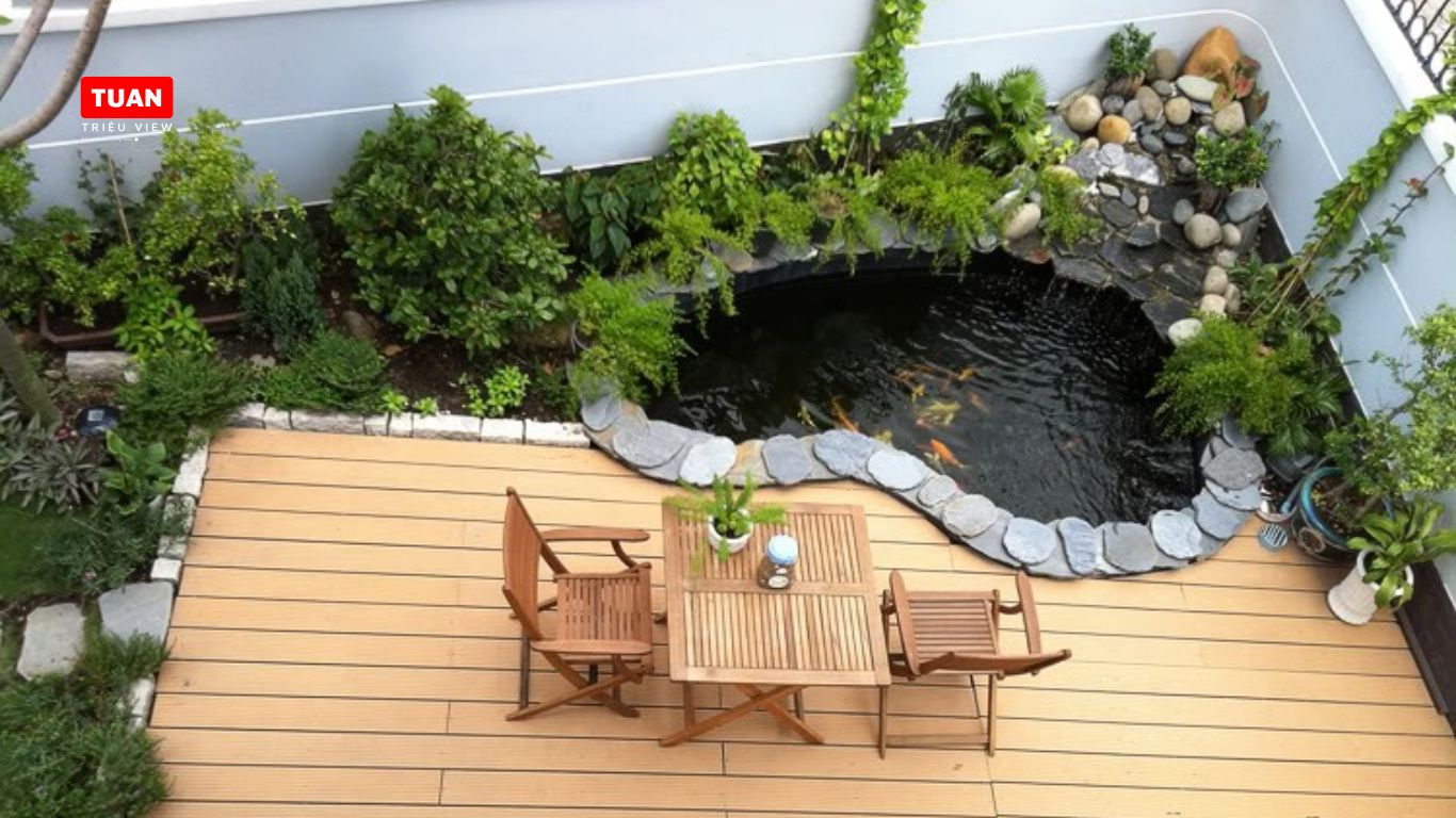 Kích thước hồ phải đủ không gian cho cá phát triển Kích thước hồ phải đủ không gian cho cá phát triển