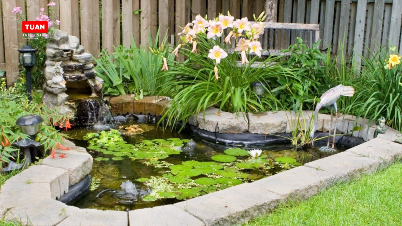 Mẫu hồ cá Koi mini sân vườn Mẫu hồ cá Koi mini sân vườn