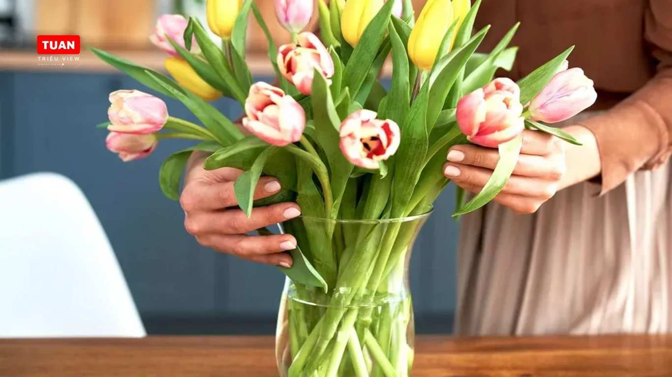 Những mẹo chăm sóc hoa bạn cần biết.