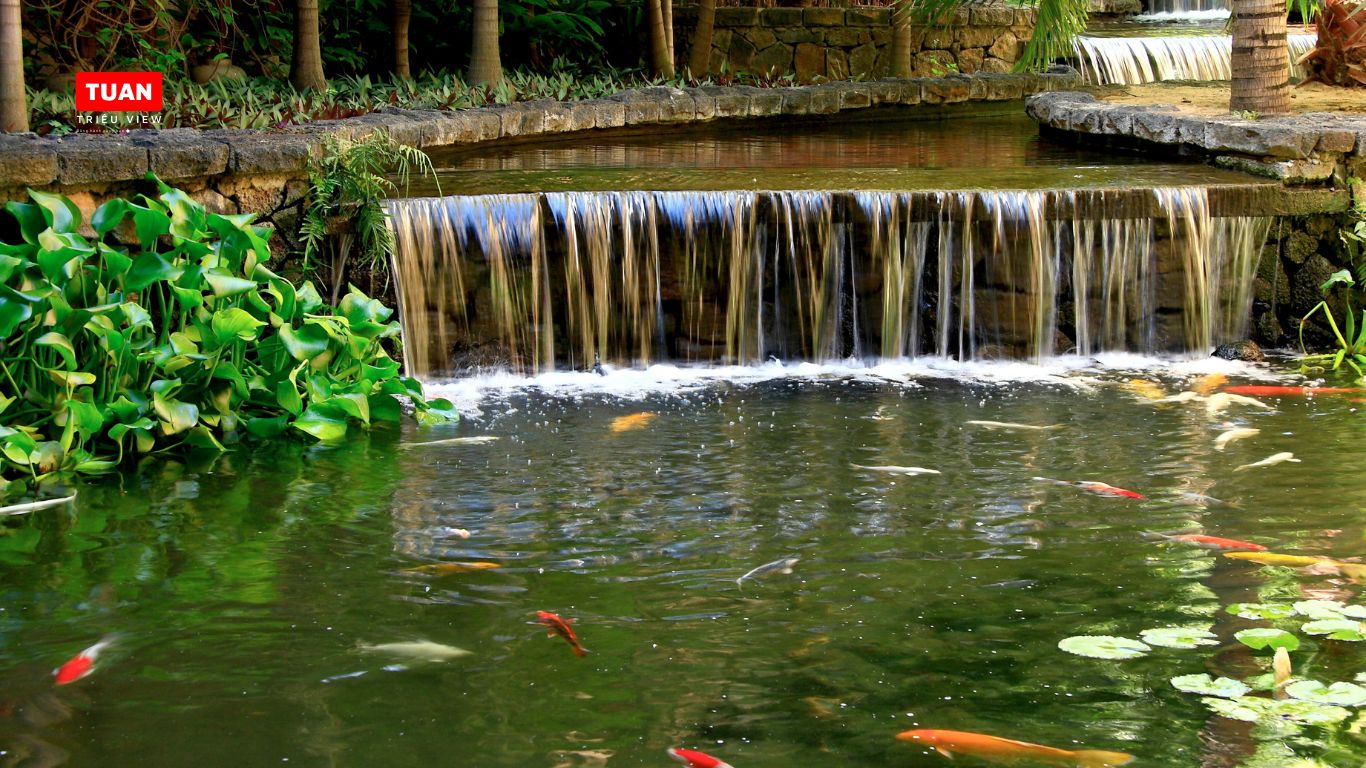 Ý tưởng thiết kế hồ đa tầng mang lại sự độc đáo Ý tưởng thiết kế hồ đa tầng mang lại sự độc đáo