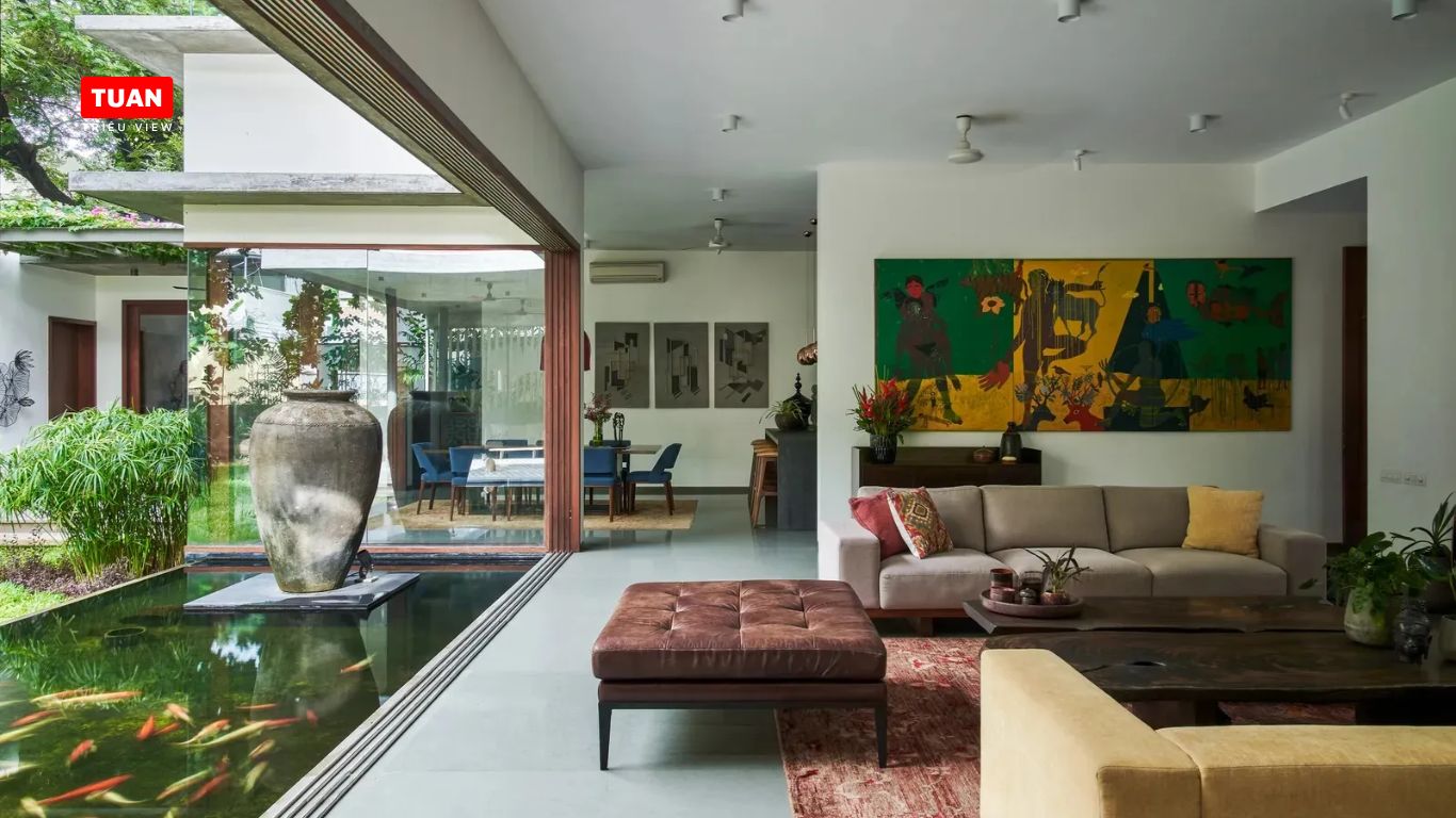 hồ cá Koi mini trong nhà hồ cá Koi mini trong nhà