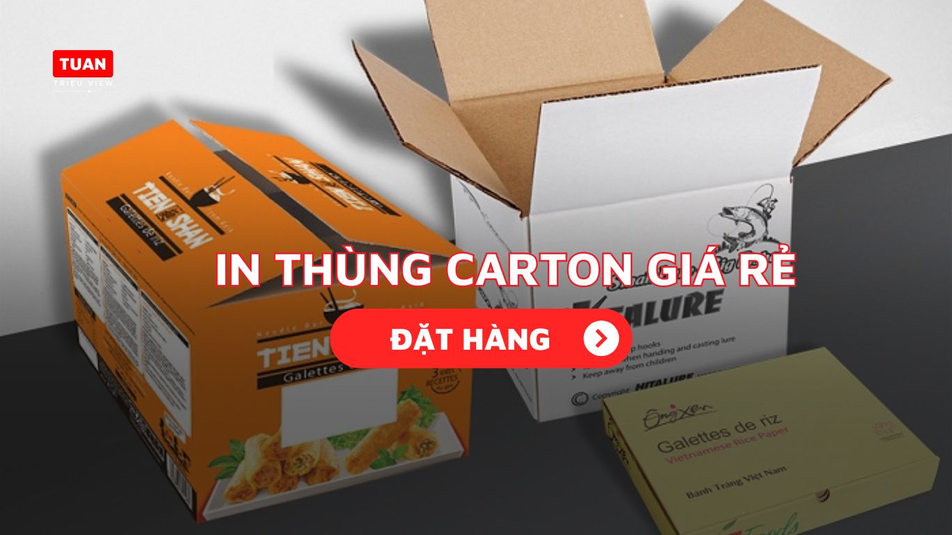 Đặt in thùng carton giá rẻ