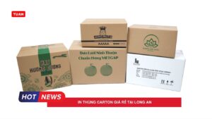 in thùng carton giá rẻ tại Long An