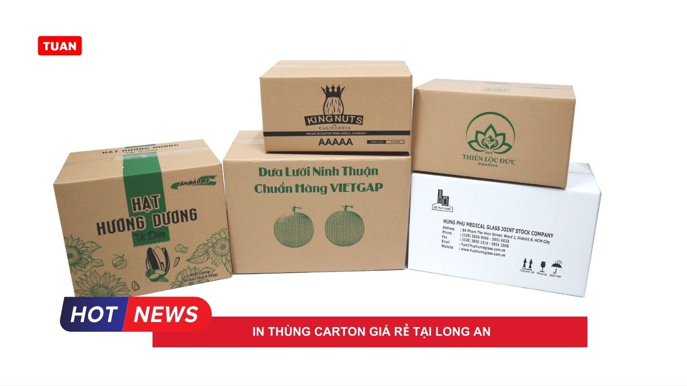 in thùng carton giá rẻ tại Long An